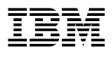 IBM logo